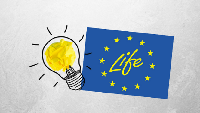 Life logo