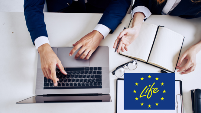 Life logo