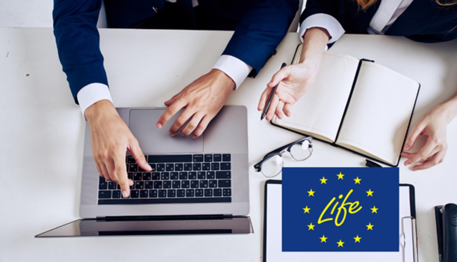 Life logo