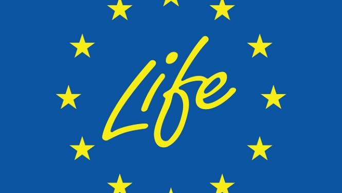 Life logo