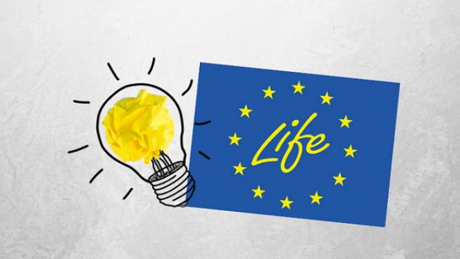 Life logo