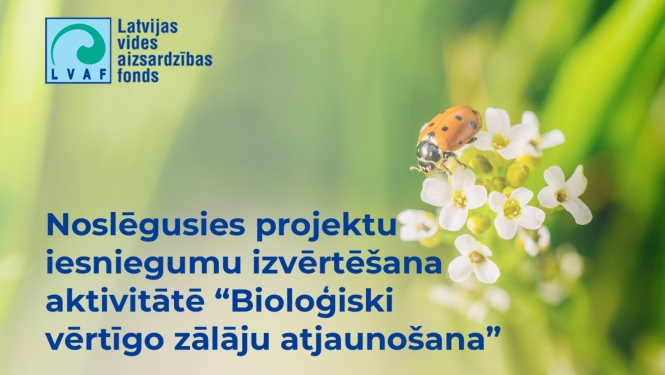 Zieds ar bizbizmārīti