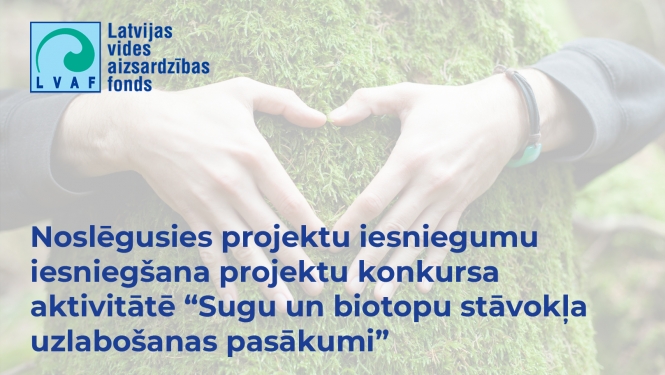 Rokas sirds formā uz koka stumbra