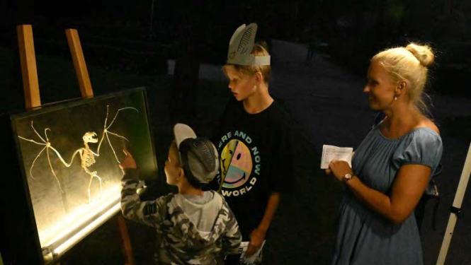 Bērni un sikspārņa skelets