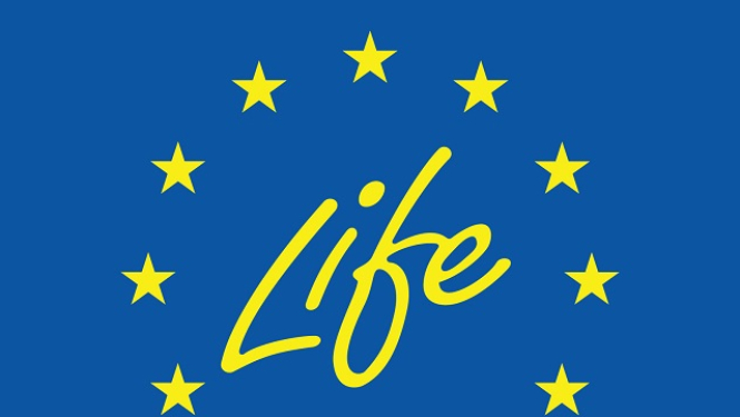 Life logo