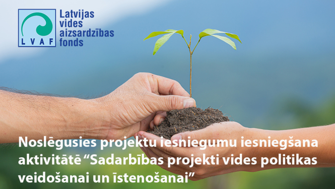 Divas rokas un auga stāds