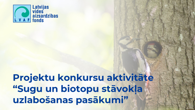 Dzenis baro mazuļus