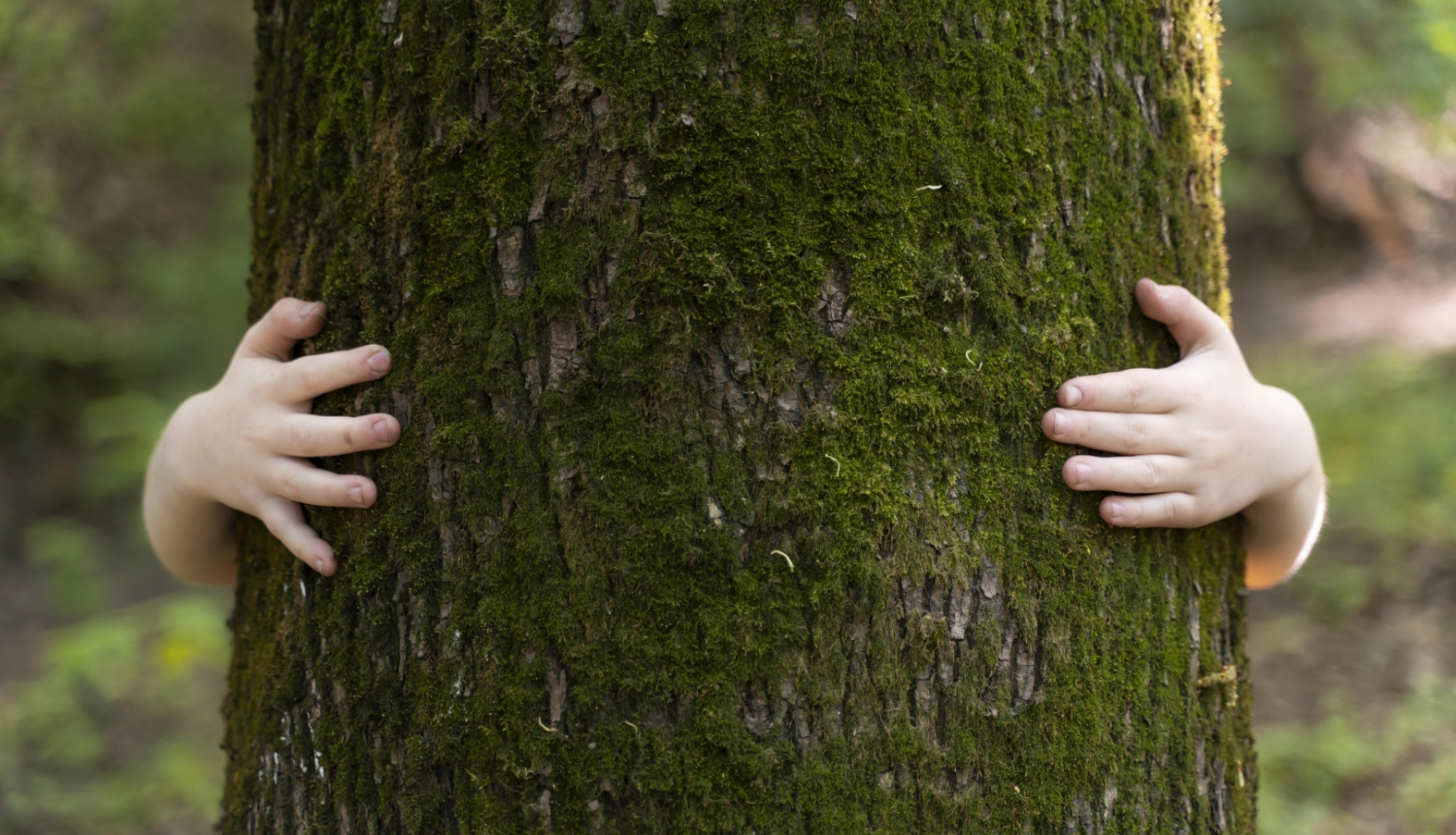 Bērna rokas un koks