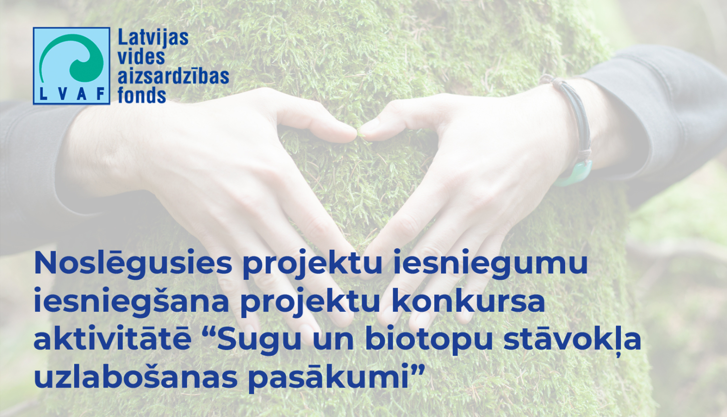 Rokas sirds formā uz koka stumbra