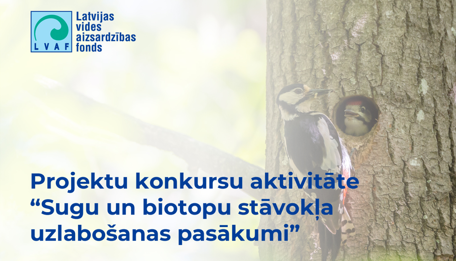 Dzenis baro mazuļus