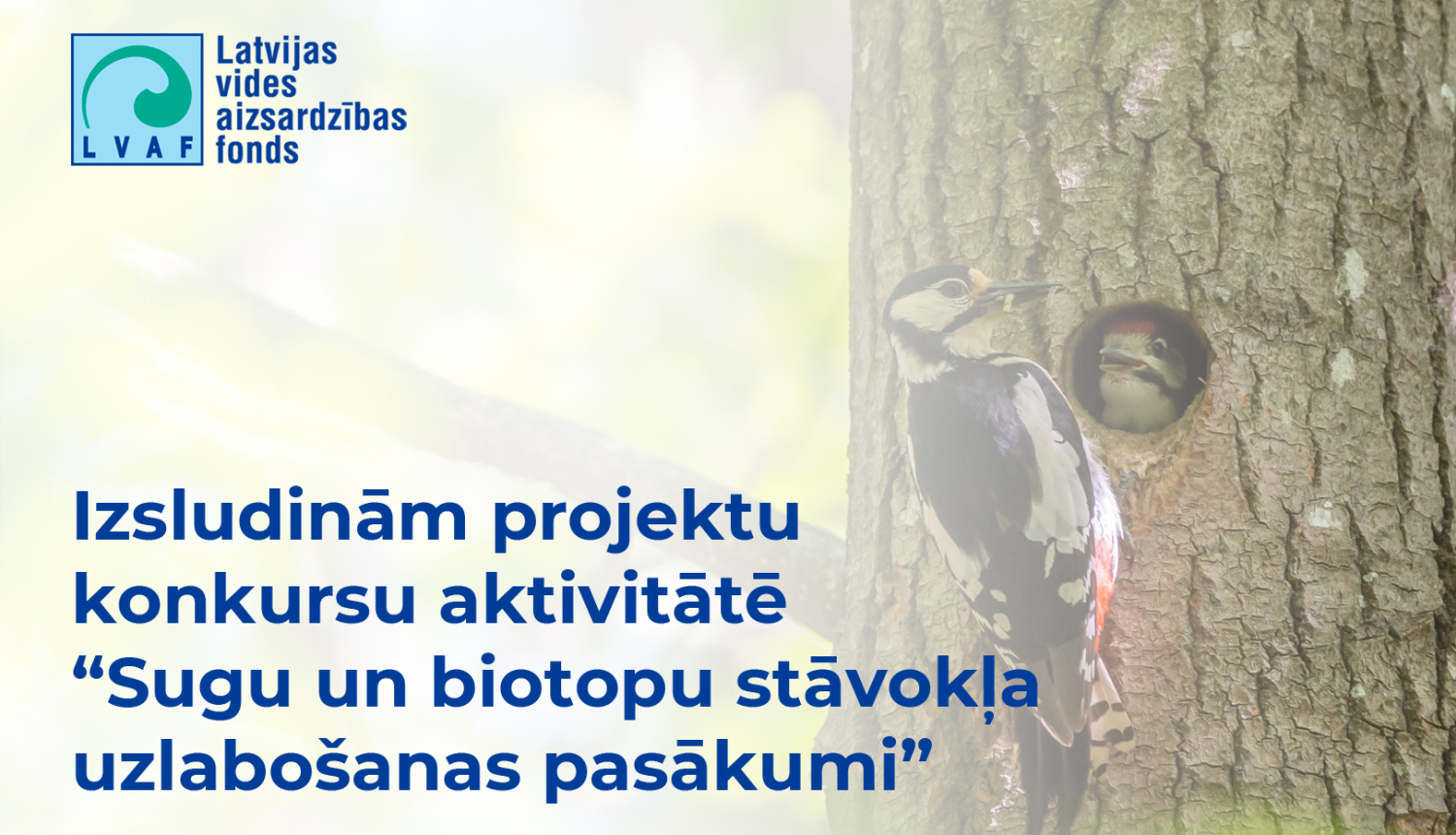 Dzenis baro mazuļus