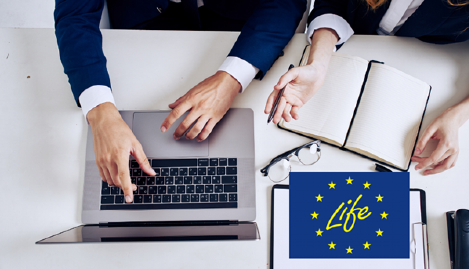 Life logo