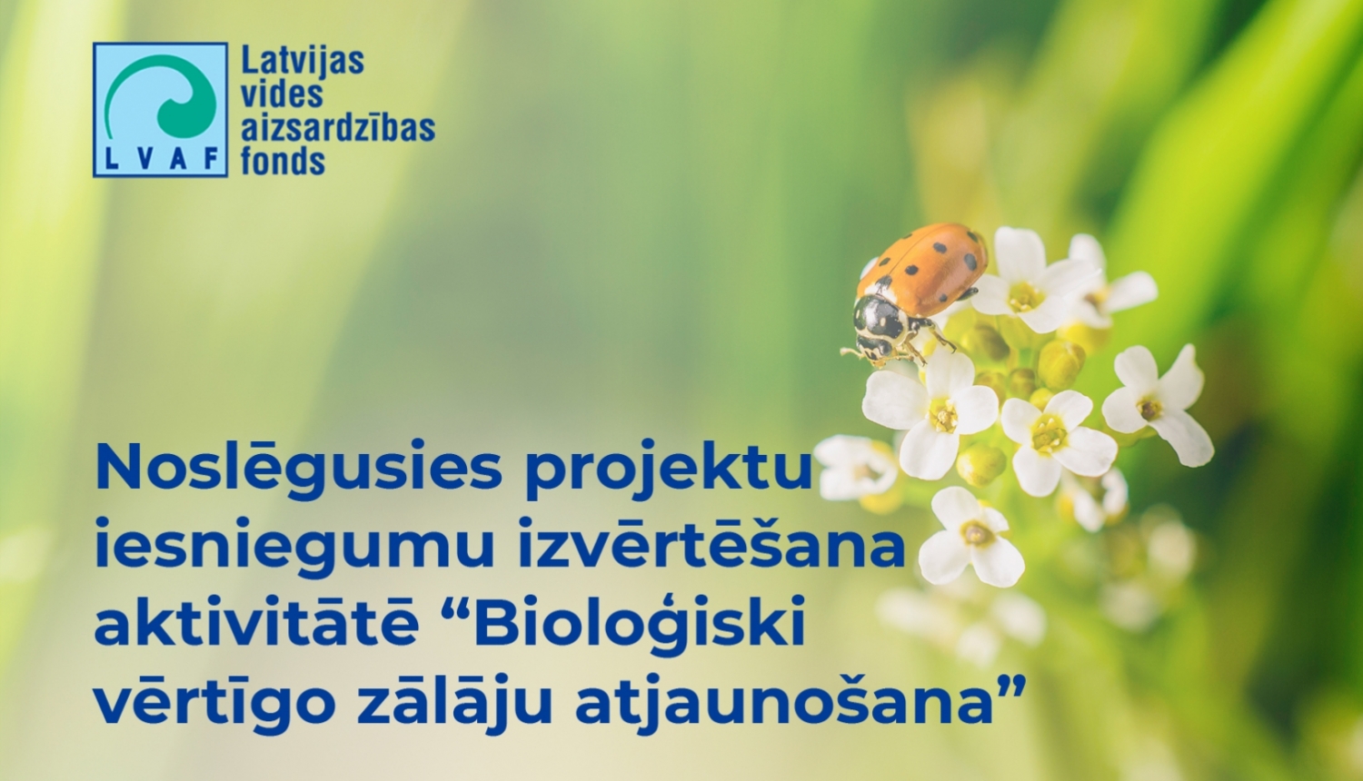 Zieds ar bizbizmārīti